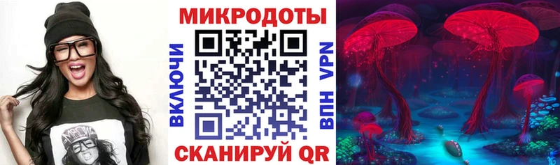Купить где Новоалександровск Галлюциногенные грибы GOLDEN TEACHER